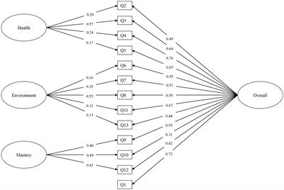 Examining the factor structure and validity of the WHOQOL-AGE among the oldest-old Chinese in Singapore